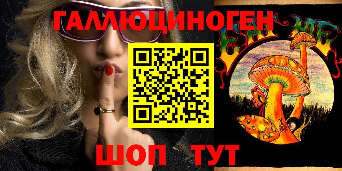 Псилоцибиновые грибы Psilocybine cubensis Верхняя Пышма