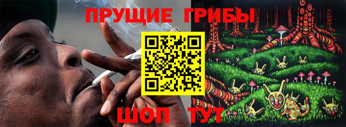 Верхняя Пышма  Псилоцибиновые грибы Psilocybine cubensis  Вход с VPN 